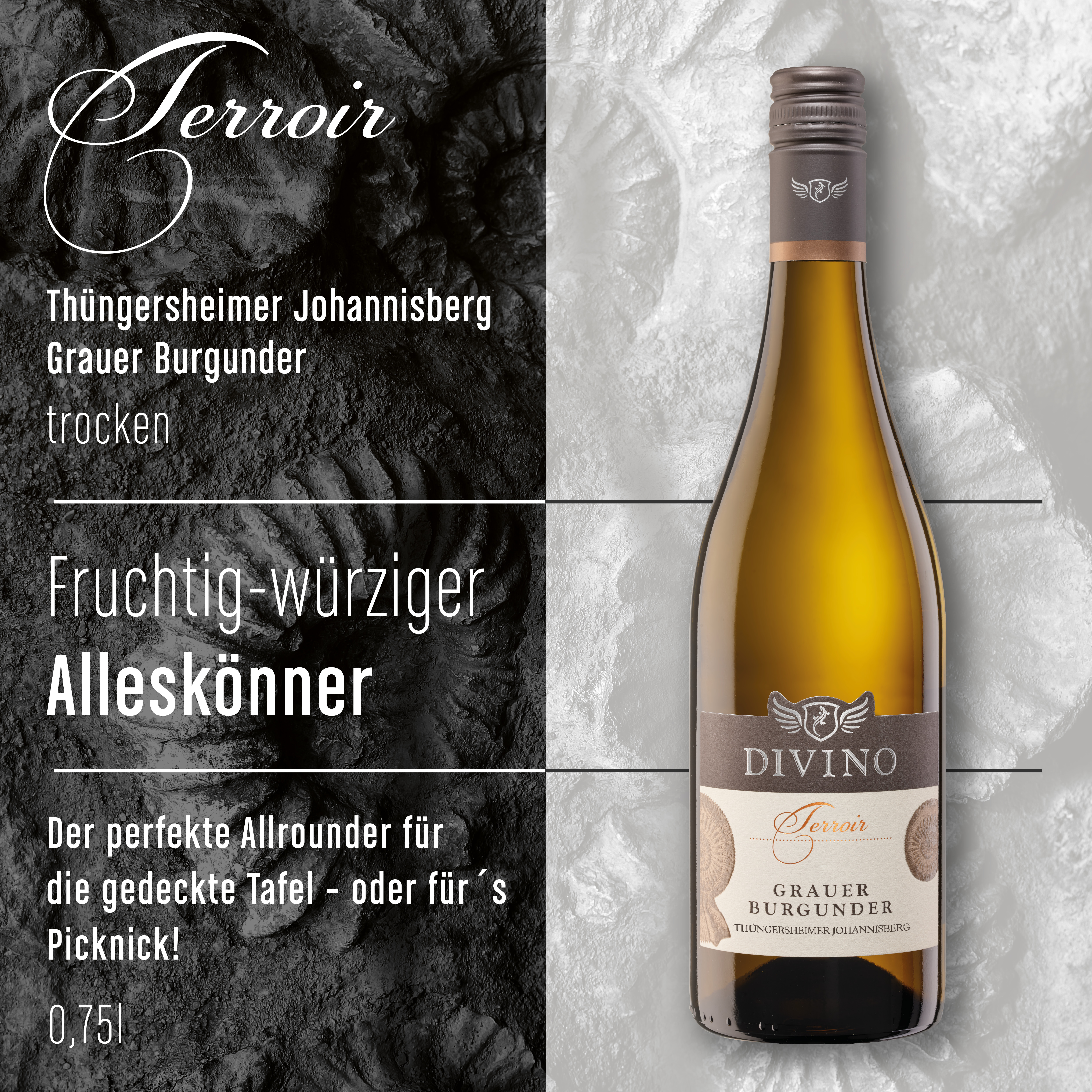 DIVINO Terroir    Probierpaket