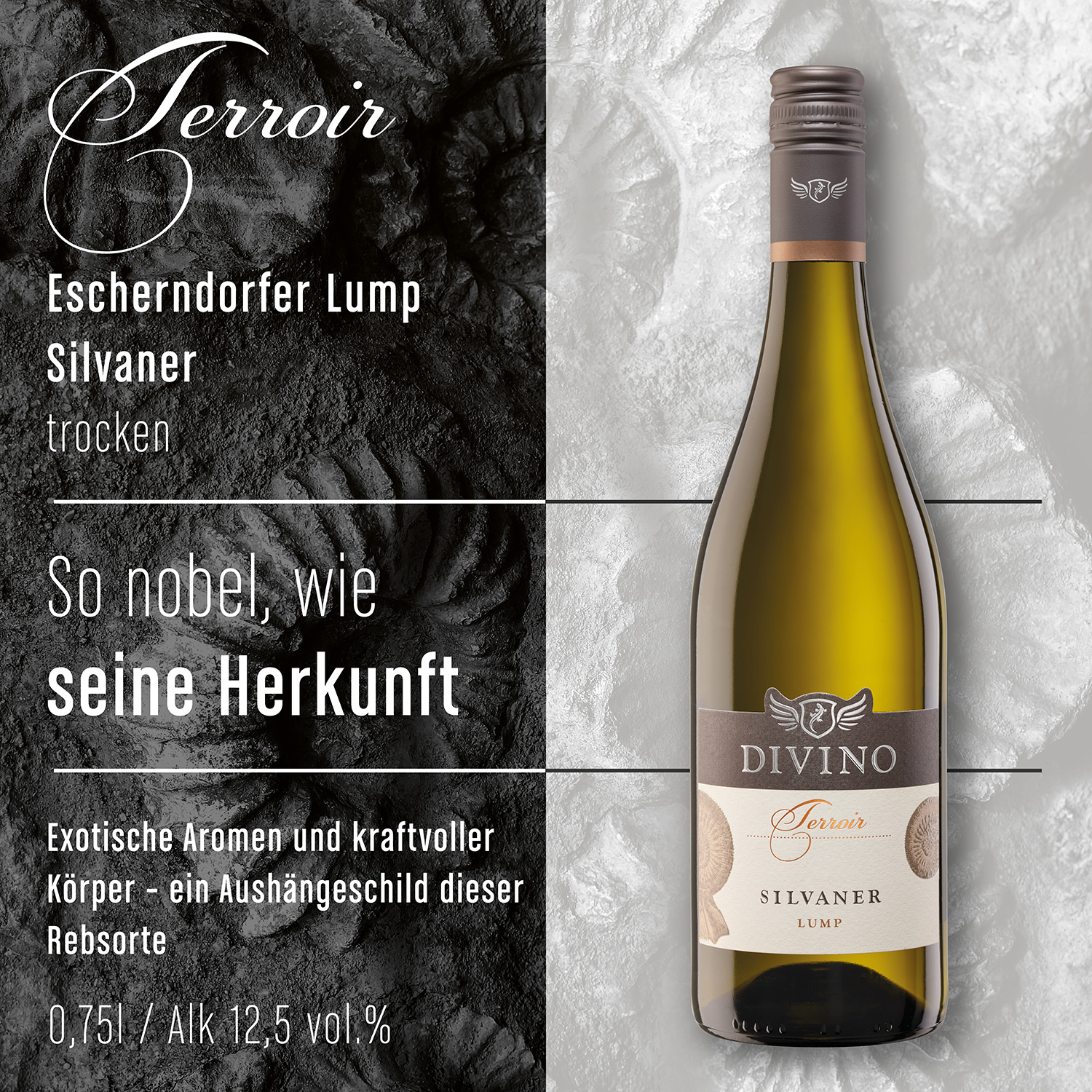 DIVINO Terroir    Probierpaket