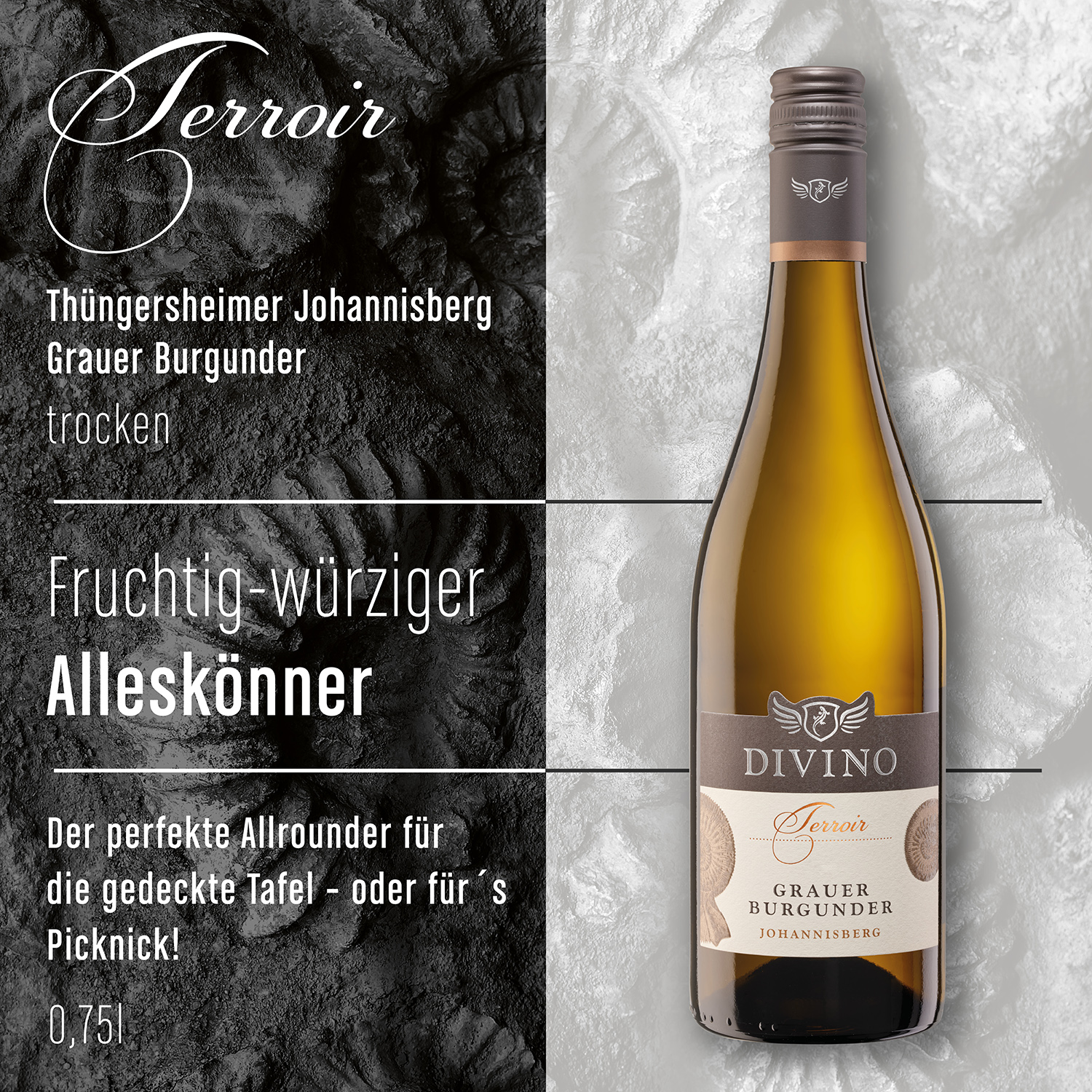 DIVINO Terroir    Probierpaket