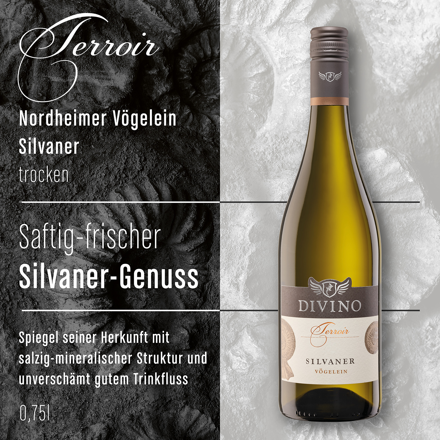 DIVINO Terroir    Probierpaket