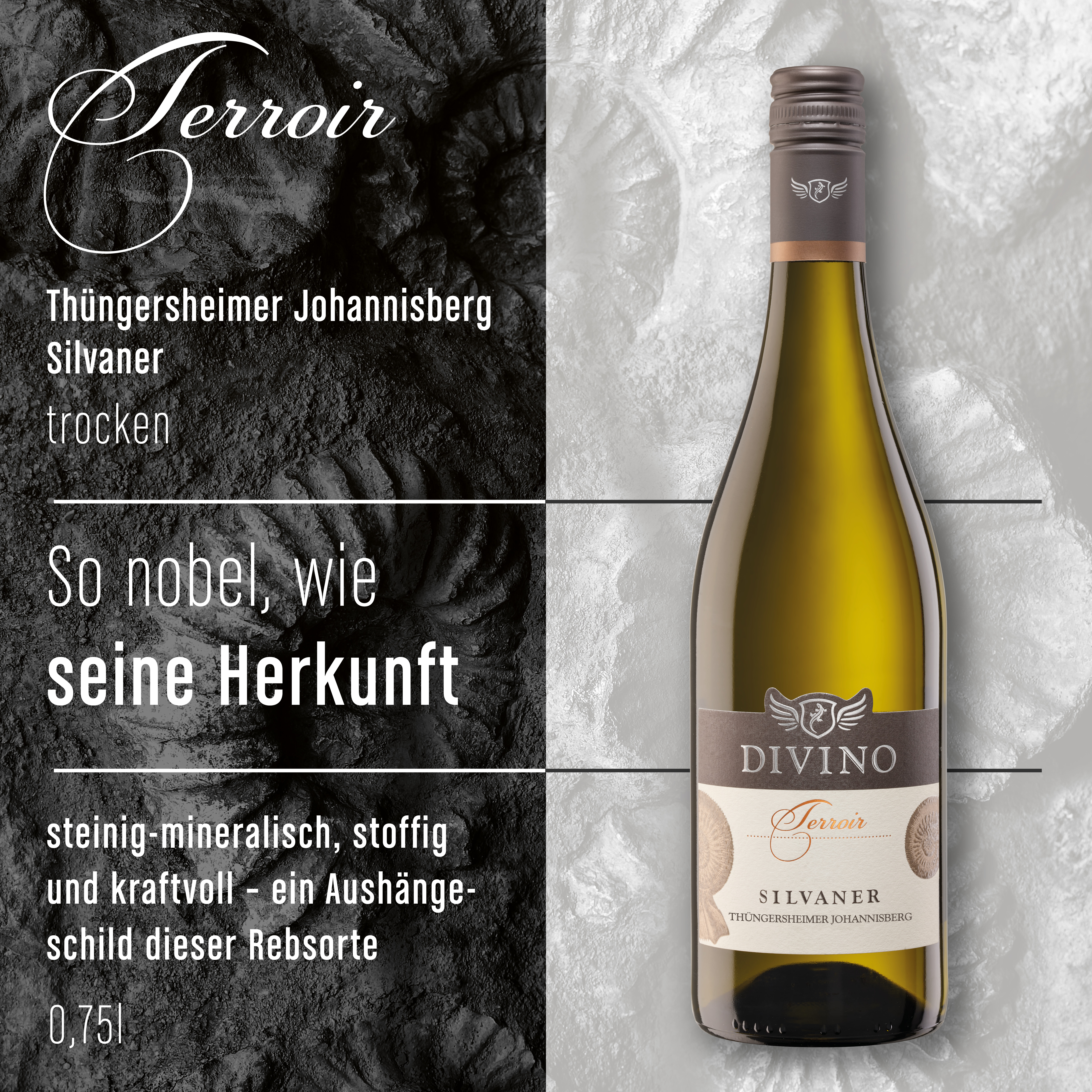 DIVINO Terroir    Probierpaket