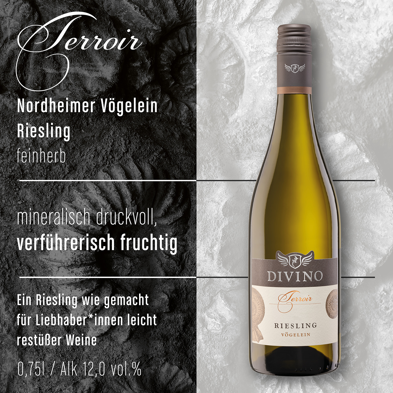 DIVINO Terroir    Probierpaket