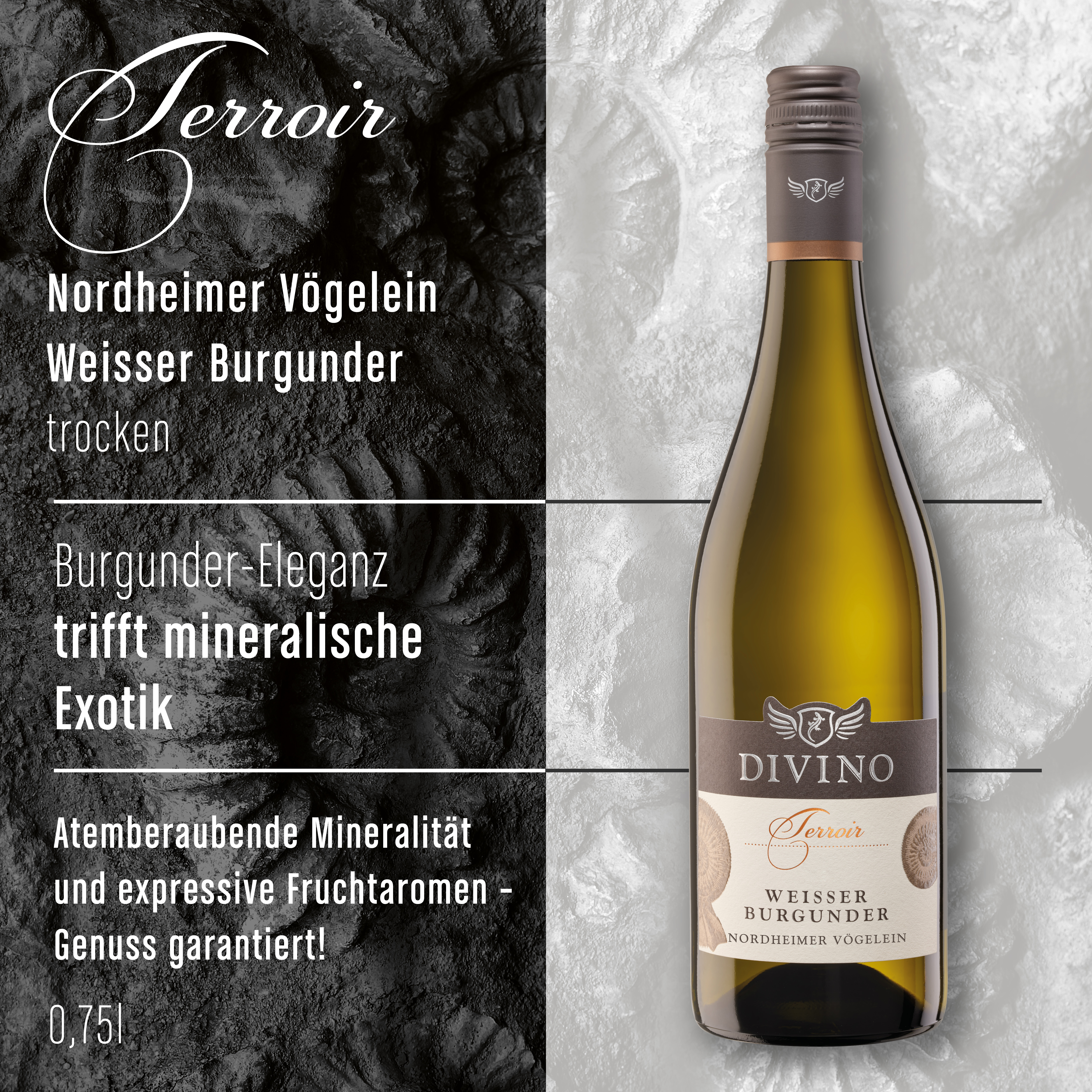 DIVINO Terroir    Probierpaket