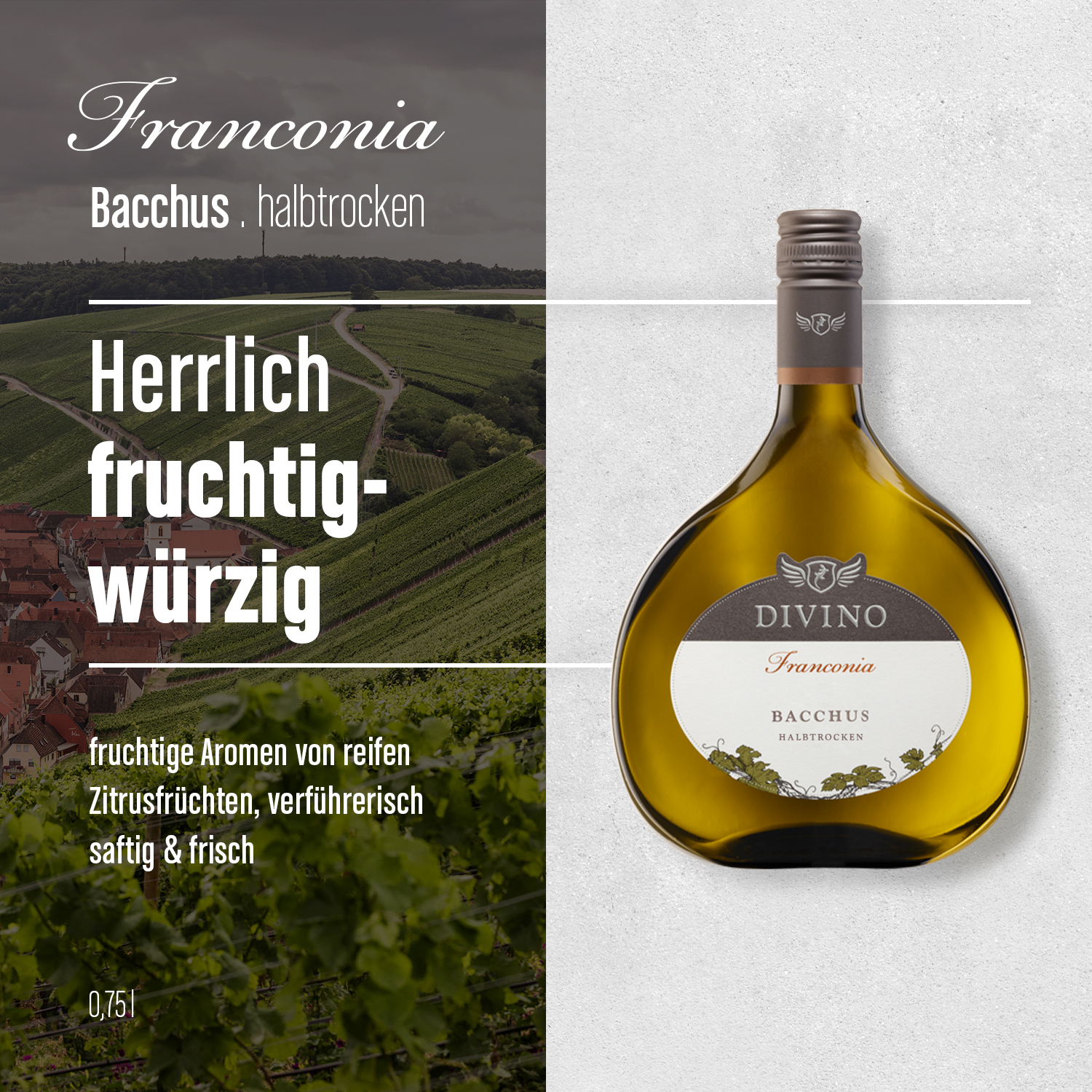 FRANCONIA    Probierpaket