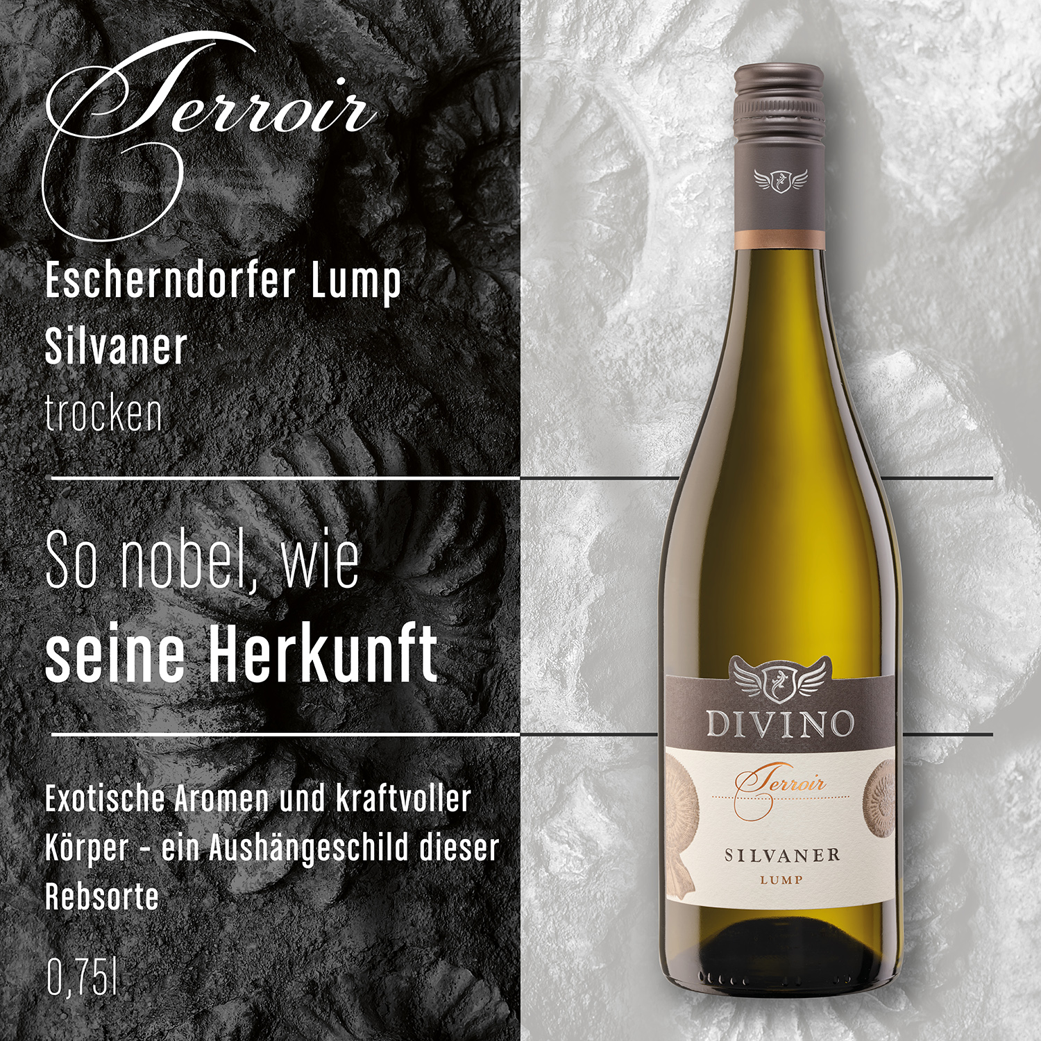 DIVINO Terroir    Probierpaket