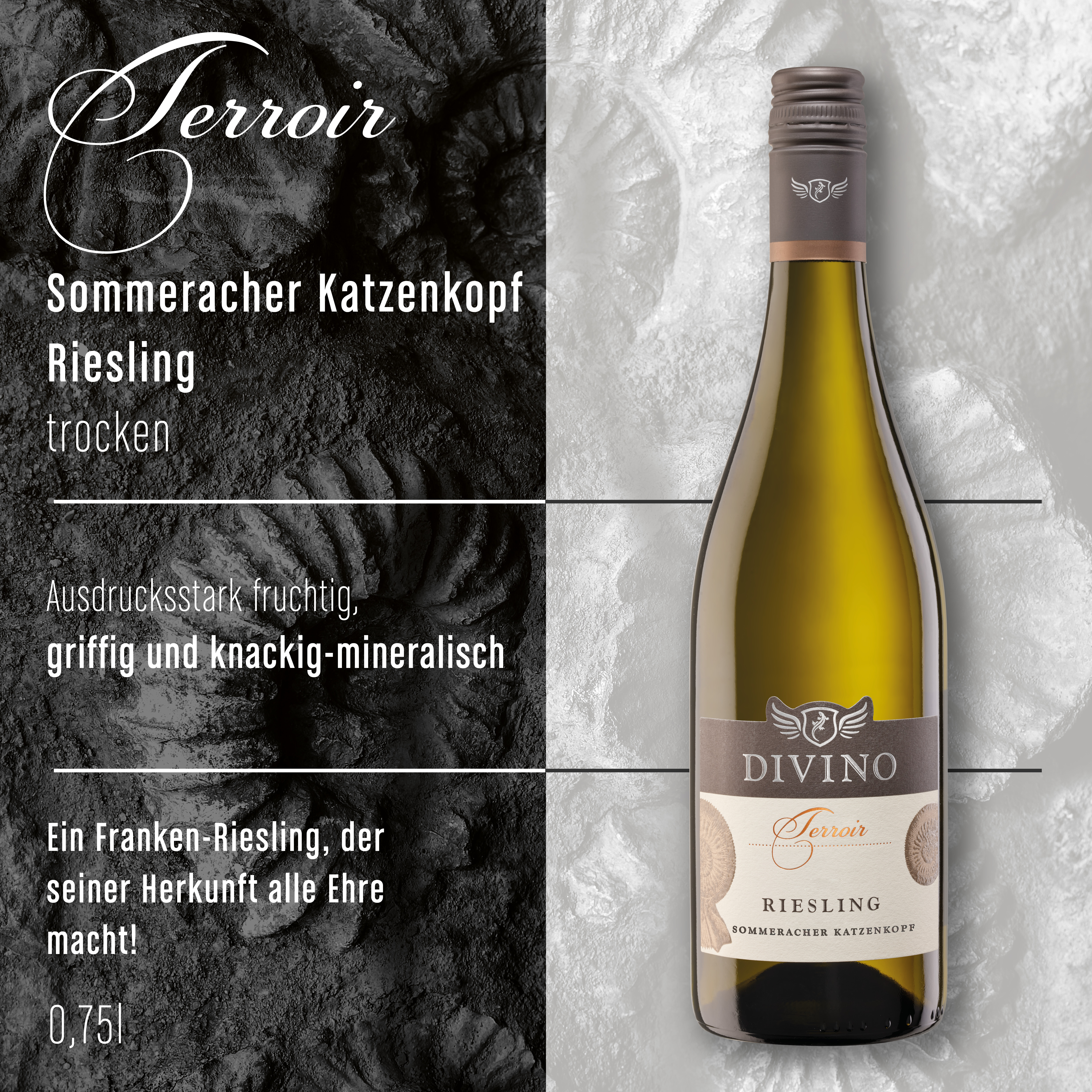 DIVINO Terroir    Probierpaket