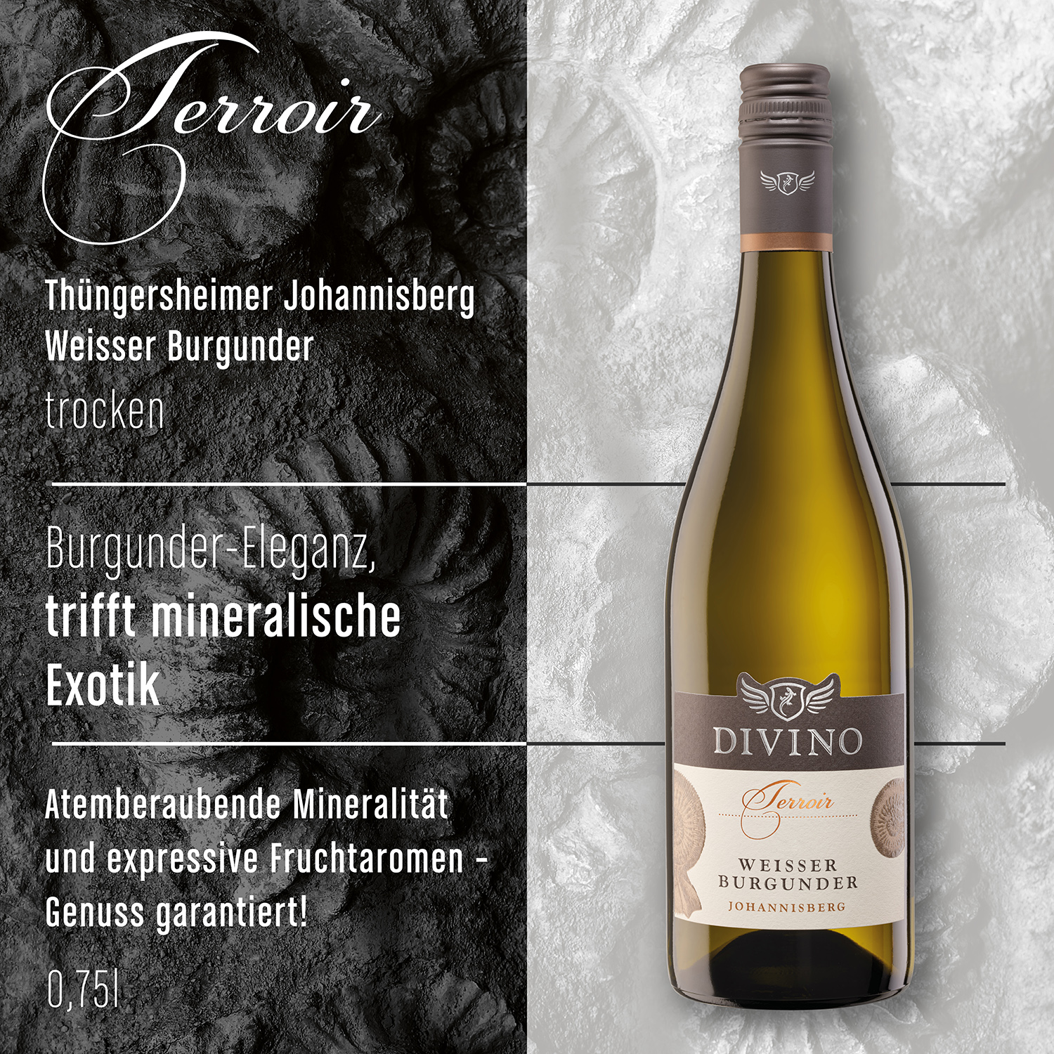 DIVINO Terroir    Probierpaket